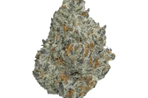 mediproCan Lunaris 19/1